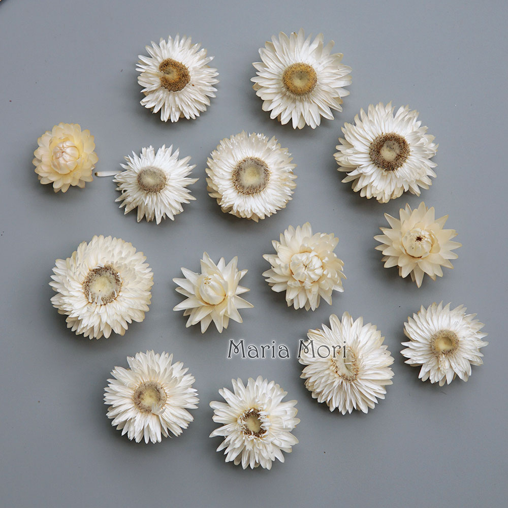 Baby Products Dropshipping - Natural Dried Colorful Chrysanthemum Wreath Handmade